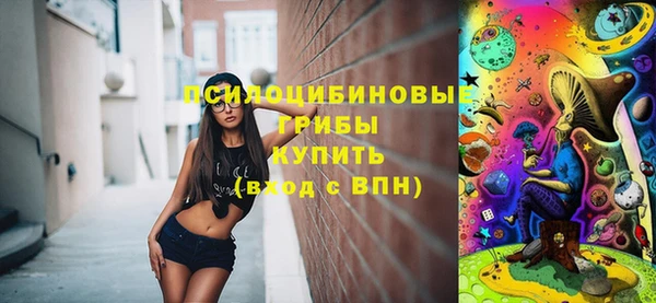 МДПВ Алексеевка
