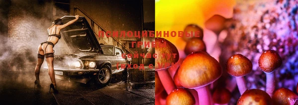 не бодяженный Алзамай