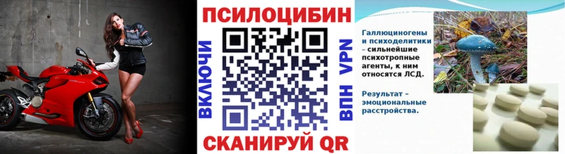 Галлюциногенные грибы мухоморы  где найти   Переславль-Залесский 
