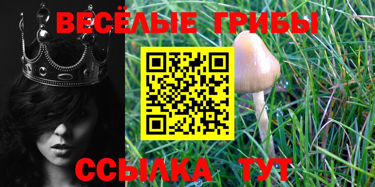 Псилоцибиновые грибы мухоморы Переславль-Залесский