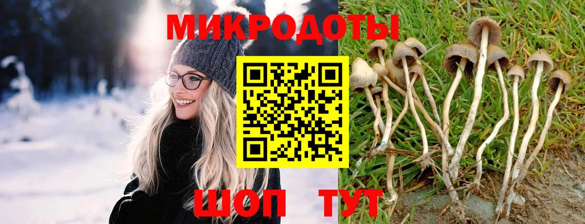 Переславль-Залесский  Псилоцибиновые грибы прущие грибы  Вход с VPN 